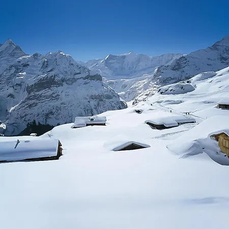Wychel By Interhome Grindelwald