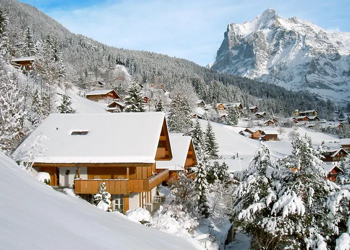 Wychel By Interhome Appartement Grindelwald