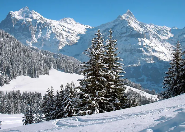 Appartement Wychel By Interhome *